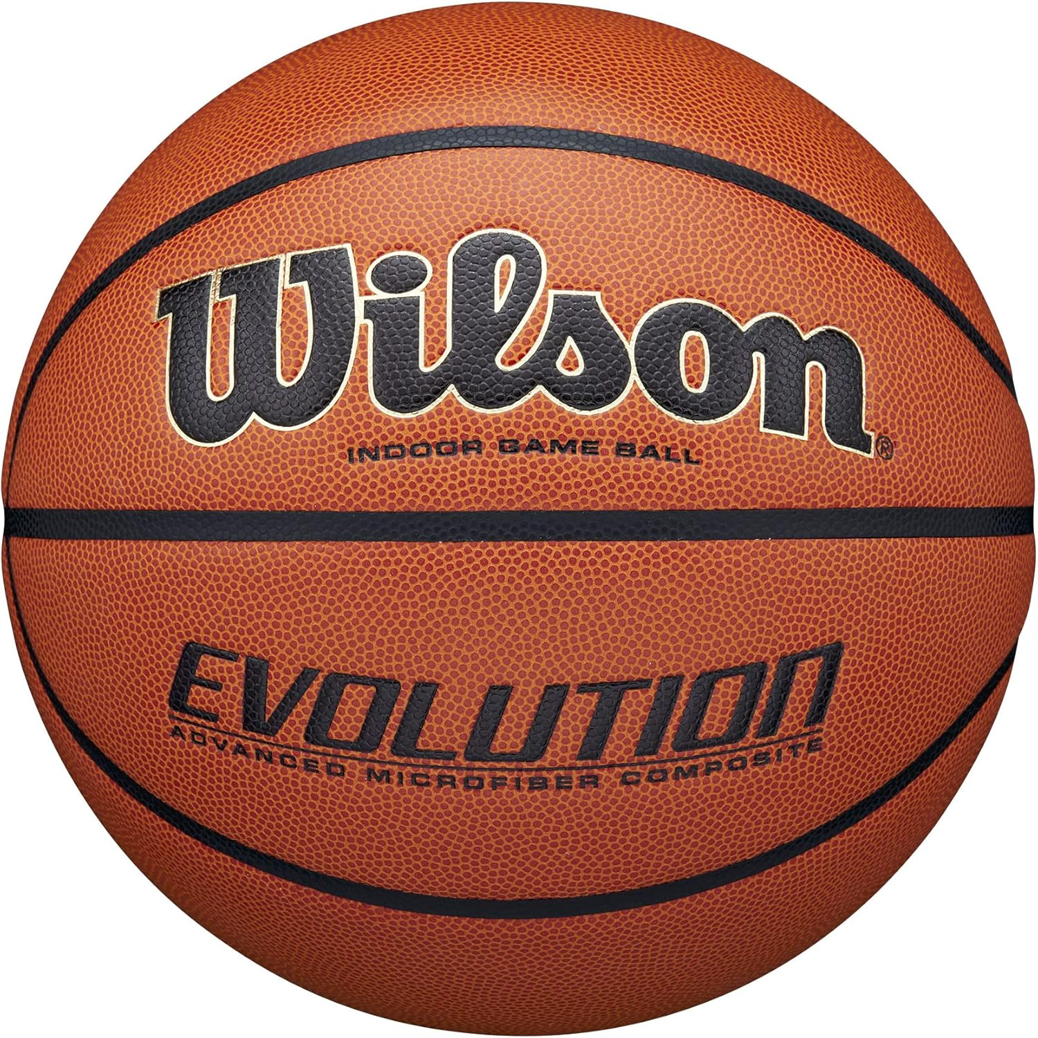 WILSON Evolution Indoor Game Basketballs